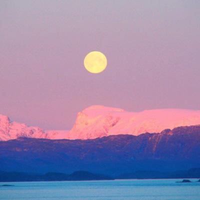 246天天好彩截图