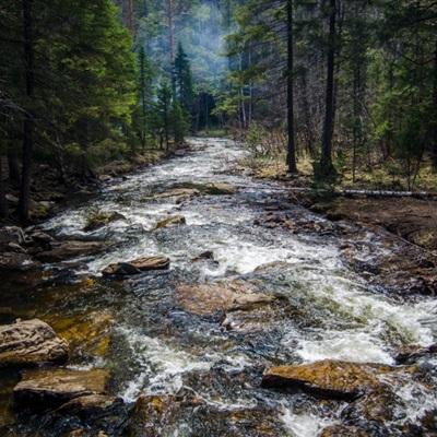 leyu手机版登录入口官网